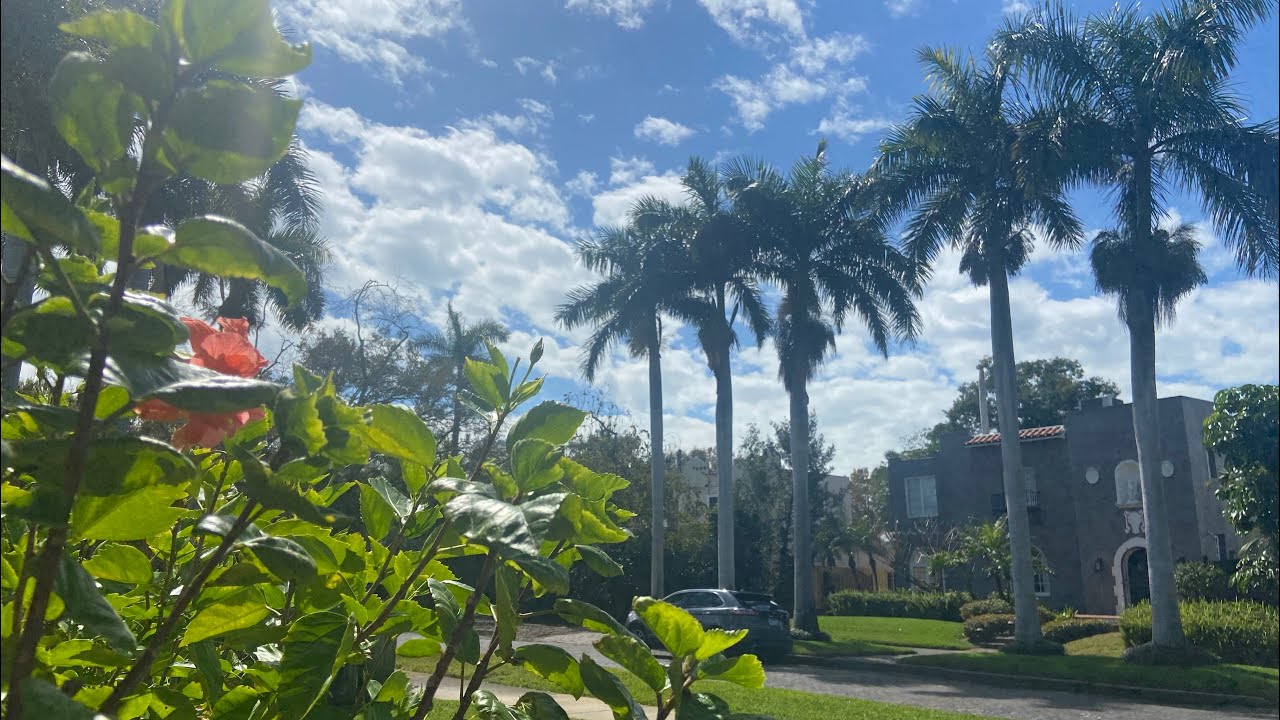 Spring is Right Around the Corner!73 Degrees here in Florida 