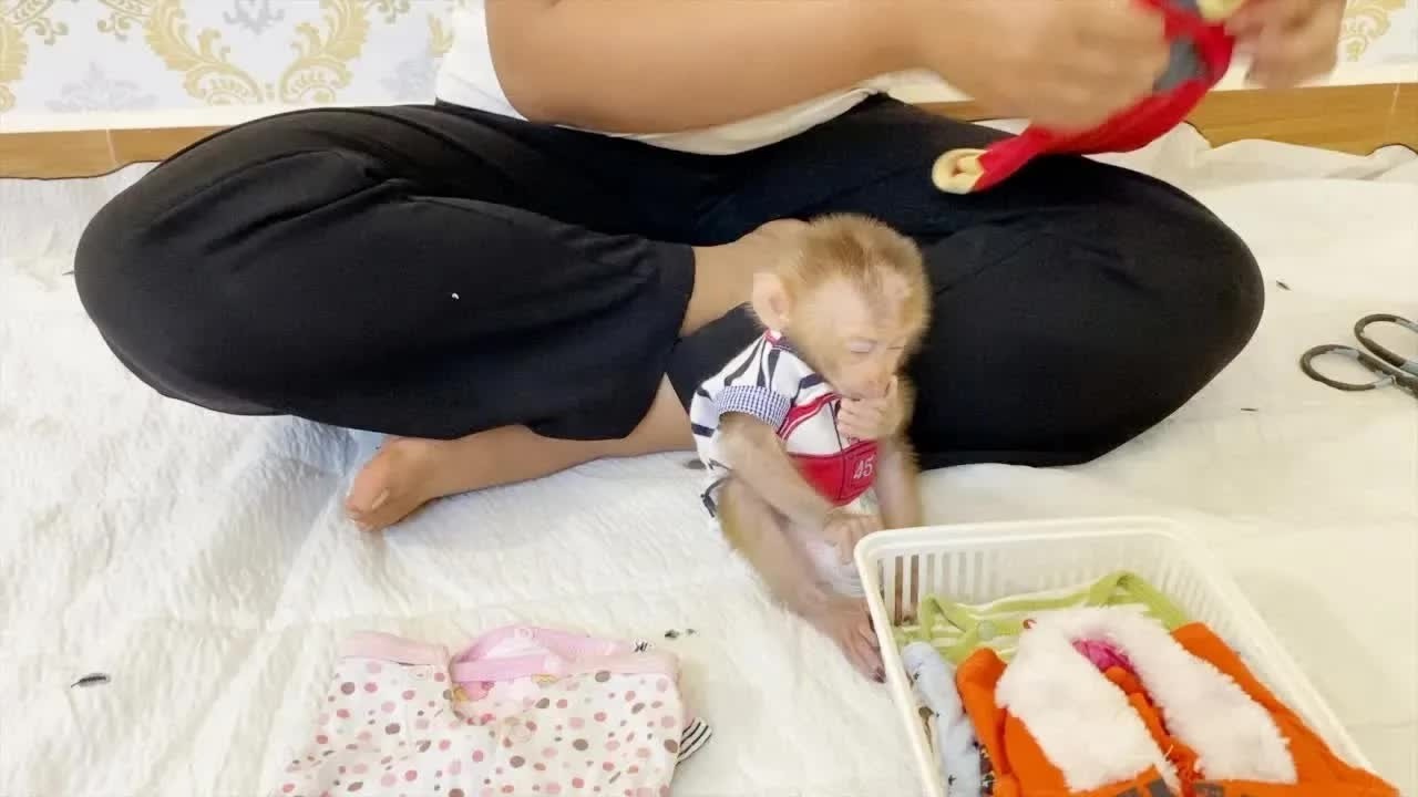 Pity BB DAM Very Sleepy While Mom Preparing His Cloth