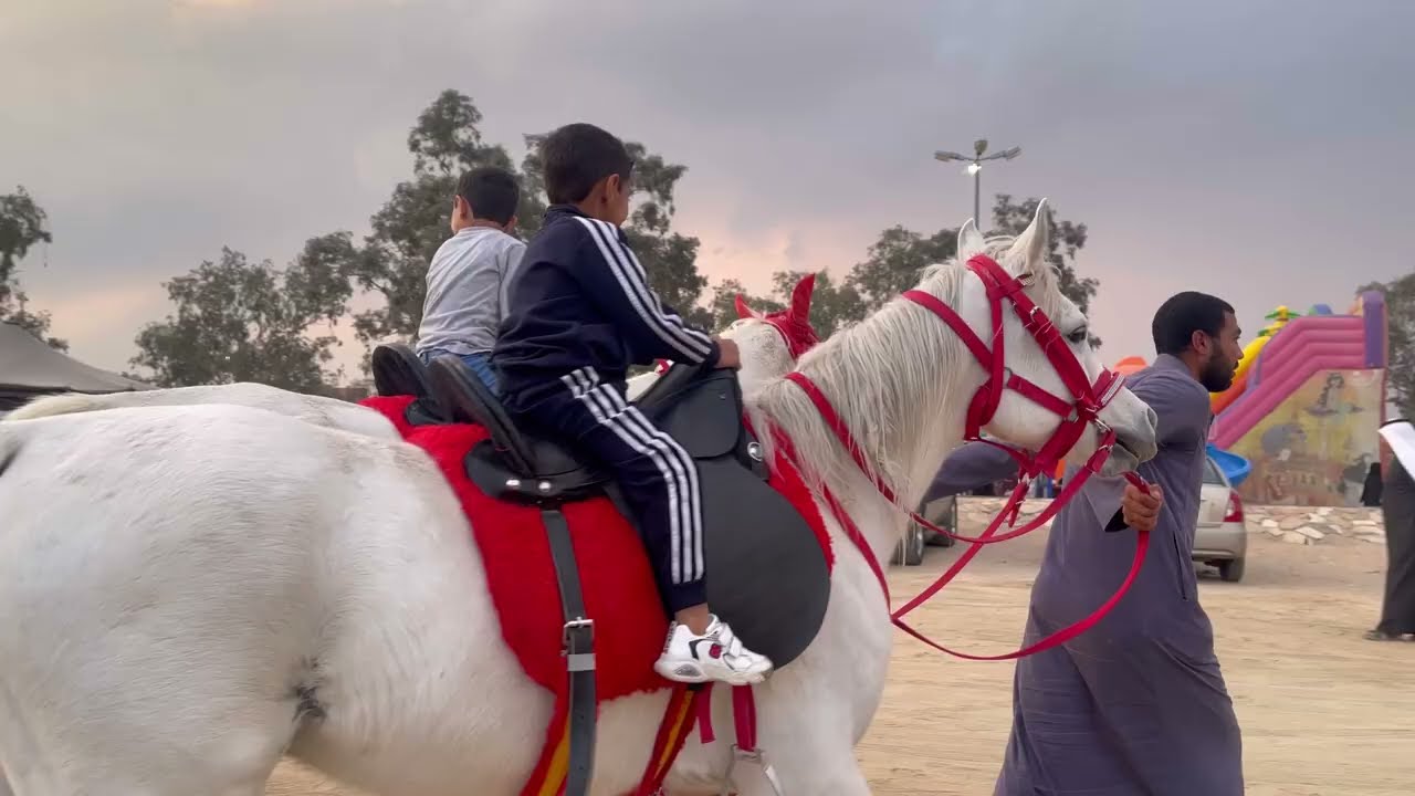 يوم جميل في برية سيسد #الطايف-١٤٤٤هـ