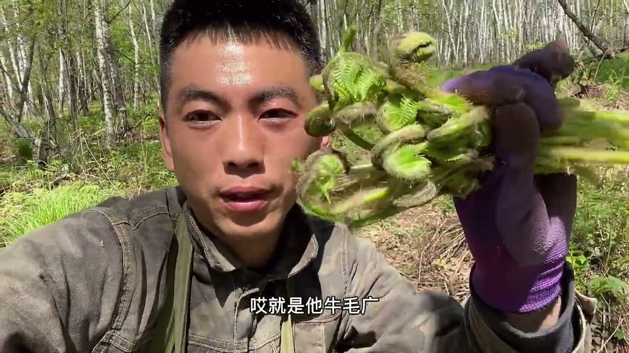 早2  30起床3  00进山开采，脚指头都要走掉了淤血啦，真正的血汗钱