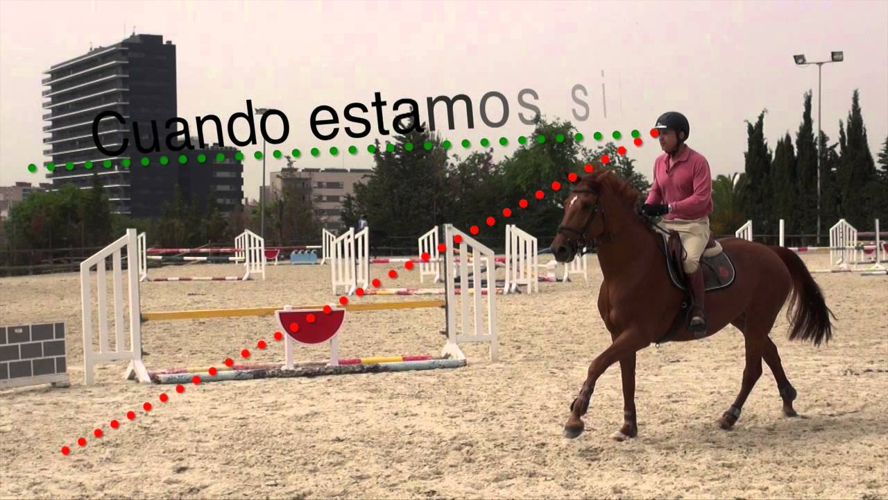 La posición en el salto.