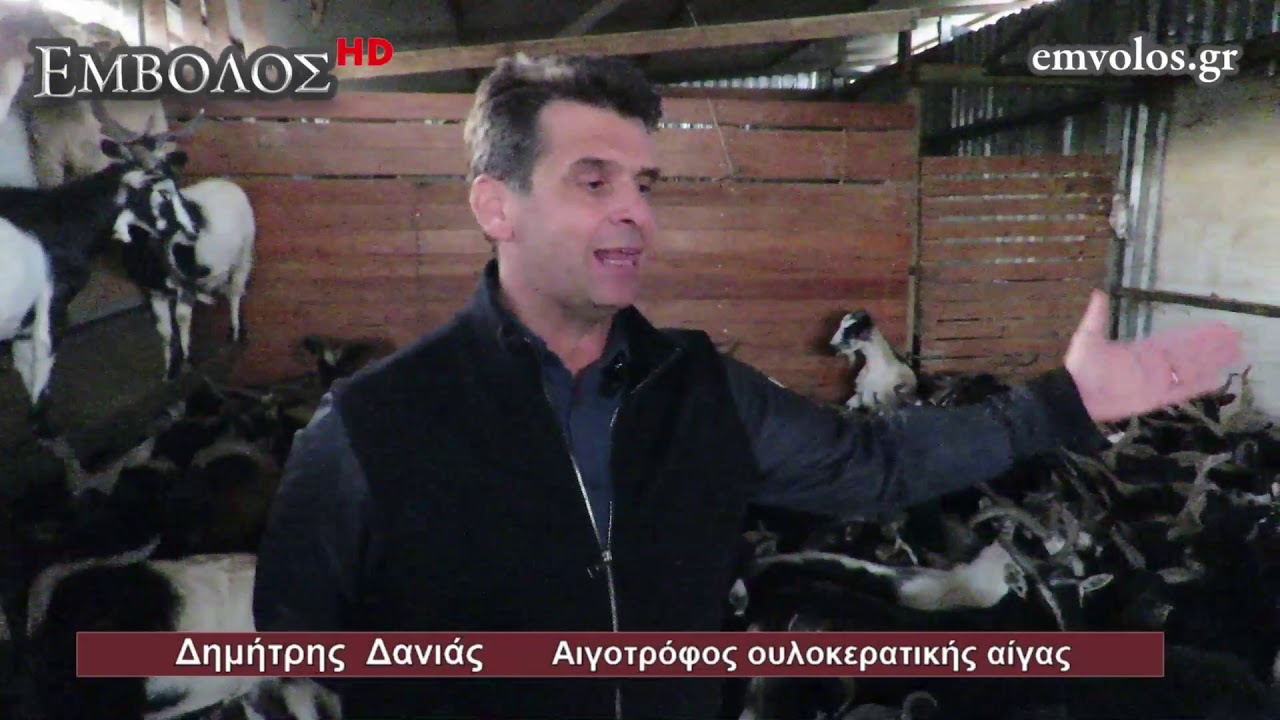 Λιβαδειά: Επίσκεψη στη καινοτόμα κτηνοτροφική μονάδα ουλόκερων αιγών του Δημήτρη Δανιά