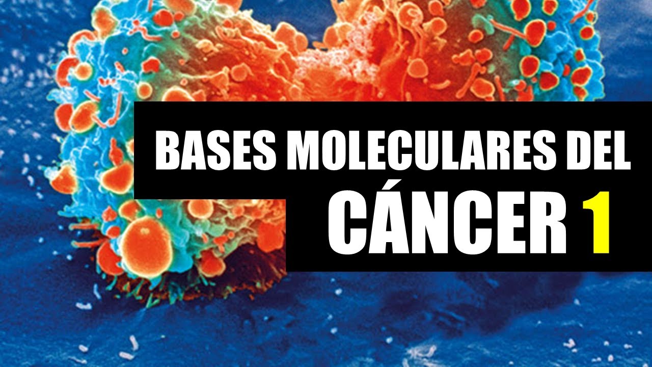 Qué es el cáncer y cómo se desarrolla (1) - Protooncogenes, oncogenes y genes supresores tumorales