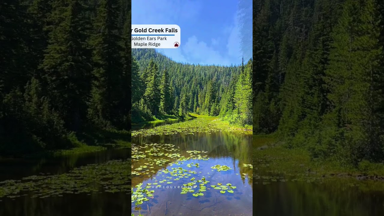 Family Hiking List for Metro Vancouver. #vancouverhike #vancouverbc #britishcolumbia #hikelist