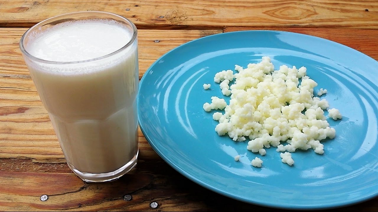 KEFIR latte fermentato