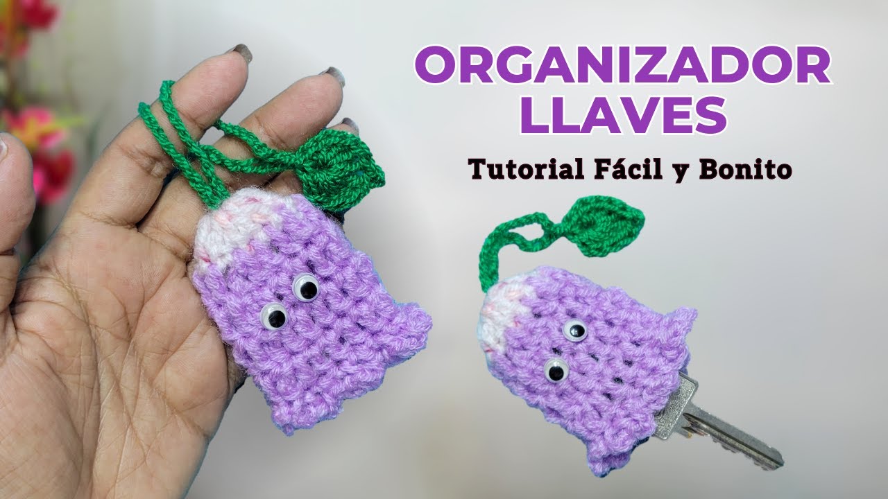 Organizador de Llave Caricatura a Crochet Fácil de Tejer | Vivirtejiendo