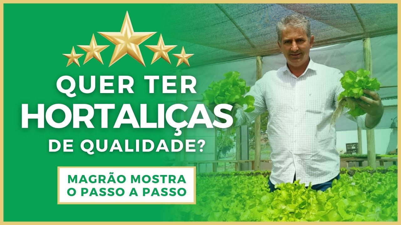 DICAS DE OURO: Hortaliças com produção CONSTANTE e de QUALIDADE