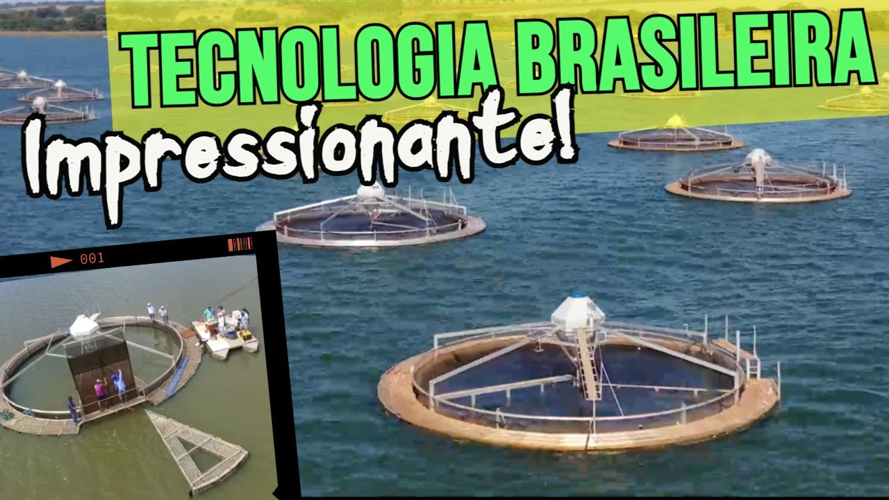 TILÁPIA: Visitamos a produção MAIS TECNOLÓGICA do país!