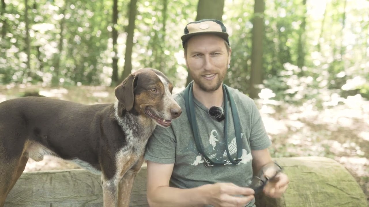 Alex neuer Hund: Sprotte im Training
