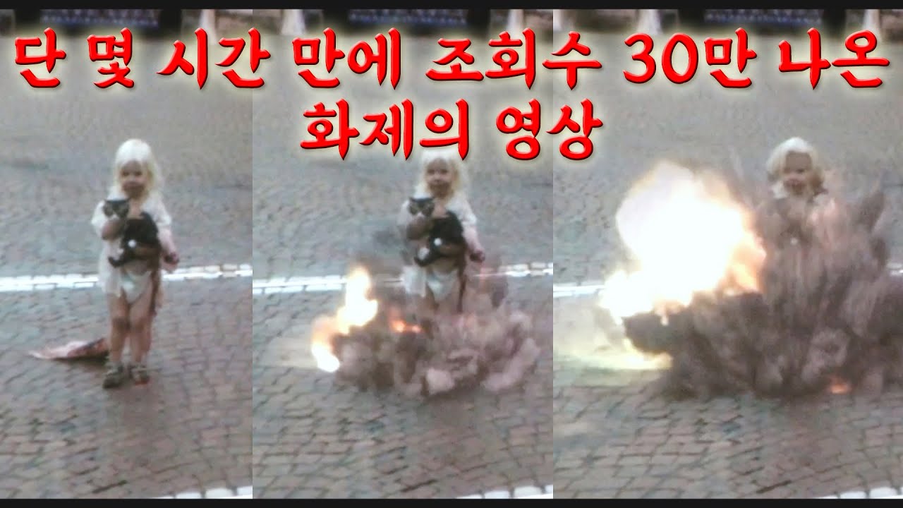 단 몇 시간 만에 조회수 30만 나온 화제의 영상
