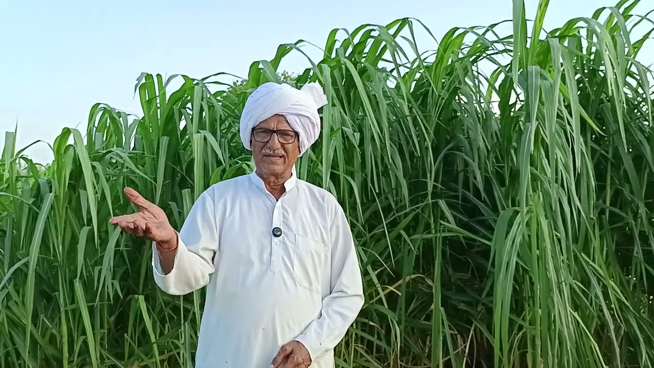 बेसर्म सासु समझाने से नहीं मानी जब पुलिस की मार पड़ी तो बोली मेरे को माफ कर दो आगे से मै कभी भी बहू