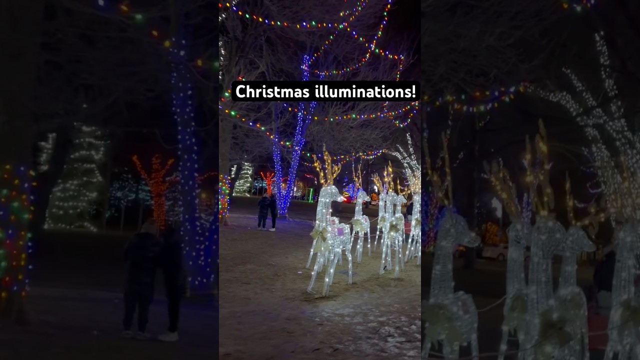 Christmas night angels!!