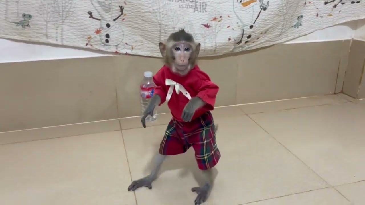 Oops..!! Funni koy standing look like a kid & refusing for work with Dad 