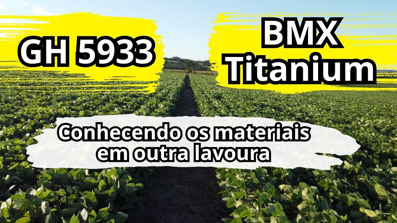 TITANIUM E 5933 em Piratini! E a seca judiando das lavouras por lá tbm...