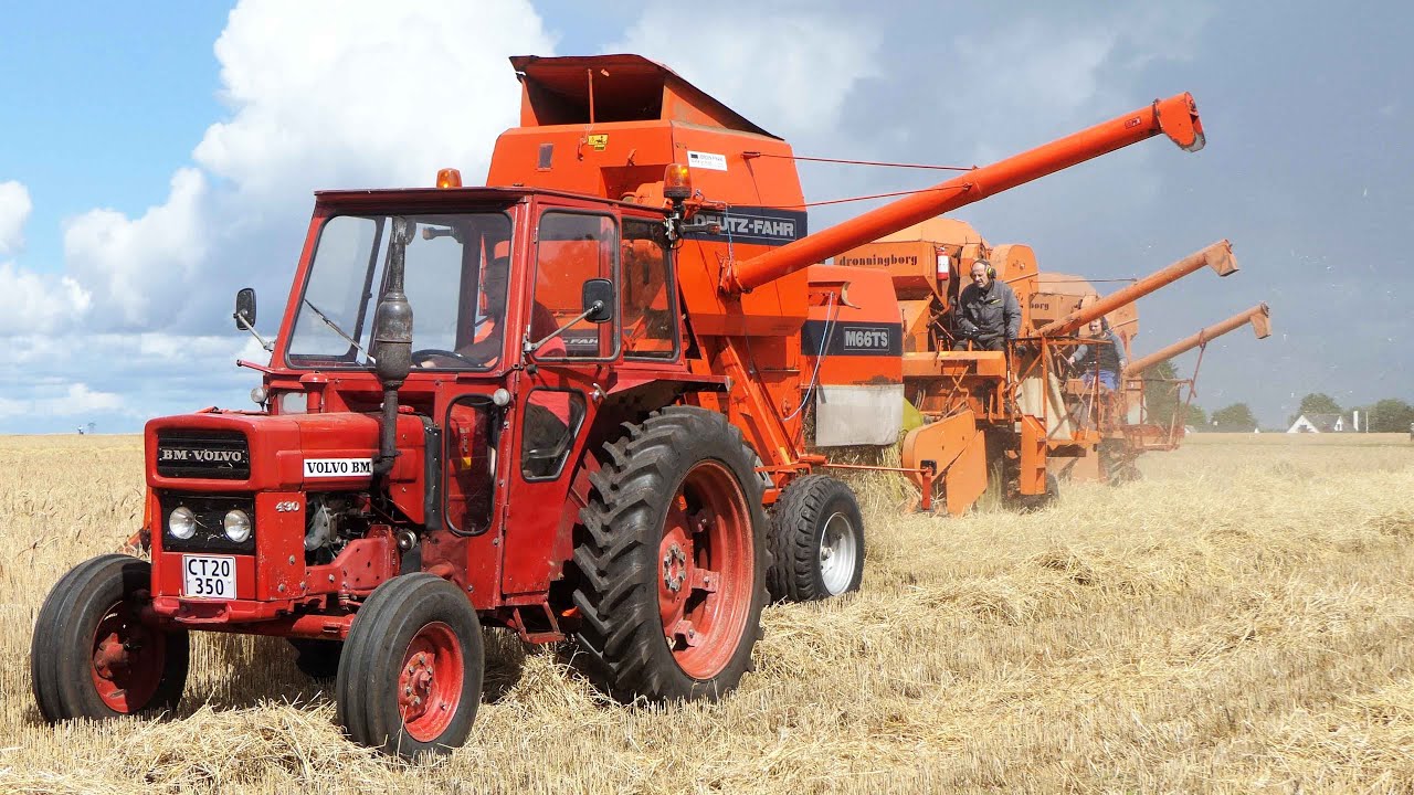 Vintage Harvest Day 2023