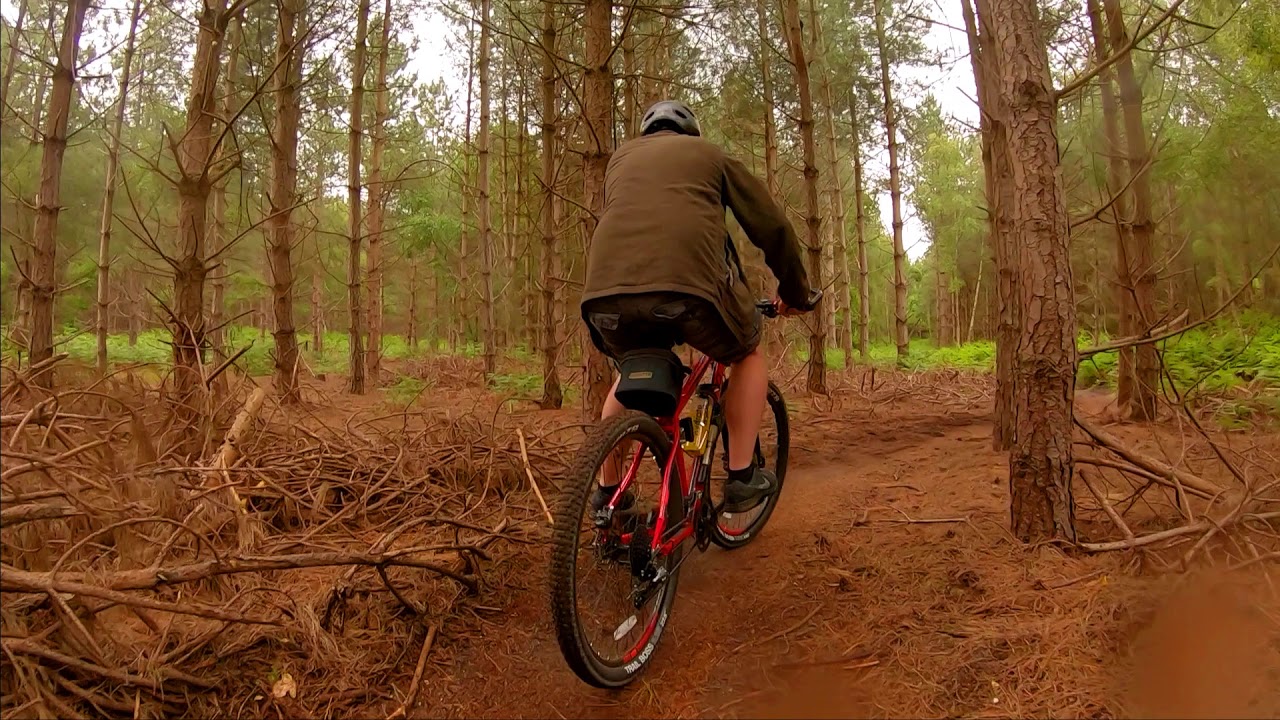 Viking Trial Tunstall Forest
