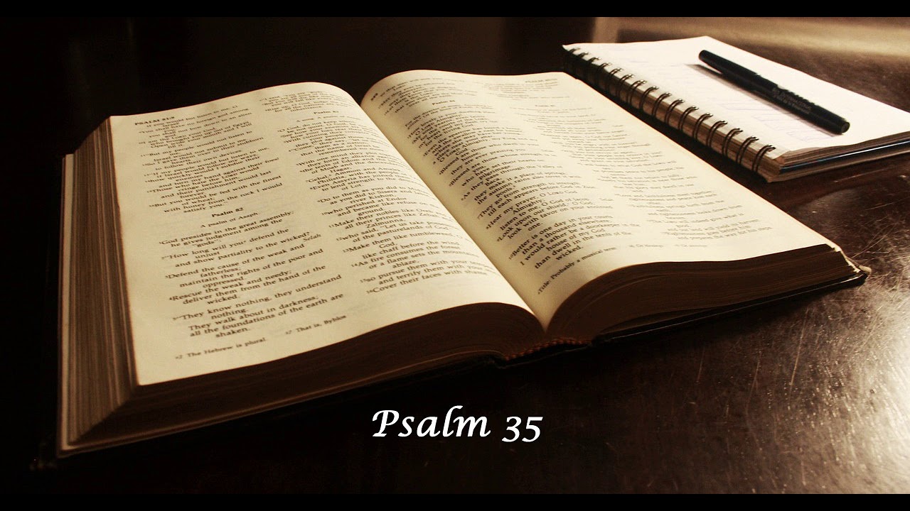 Psalm 35 - NLT read by Tom Dooley.