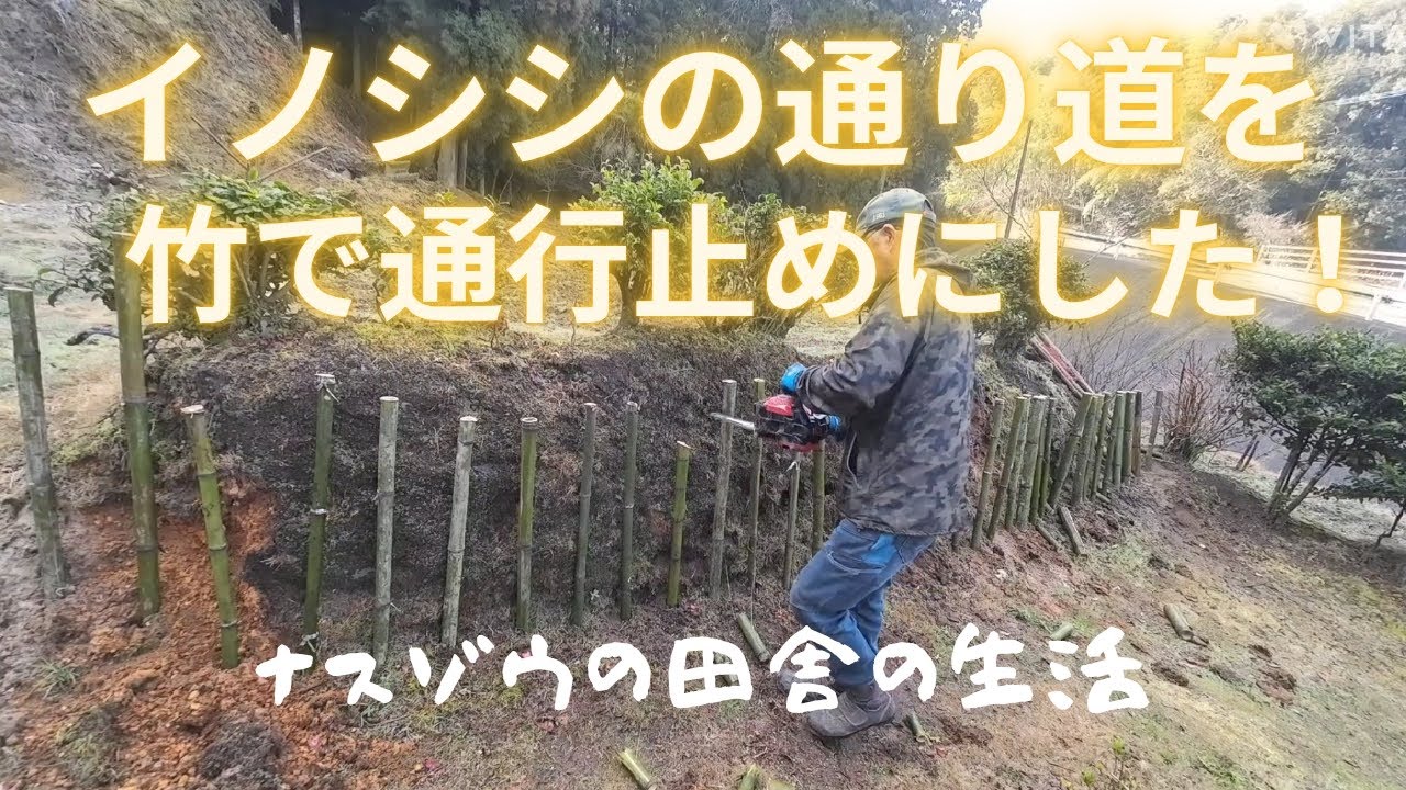 【イノシシの通り道】No.135 ナスゾウの田舎の生活