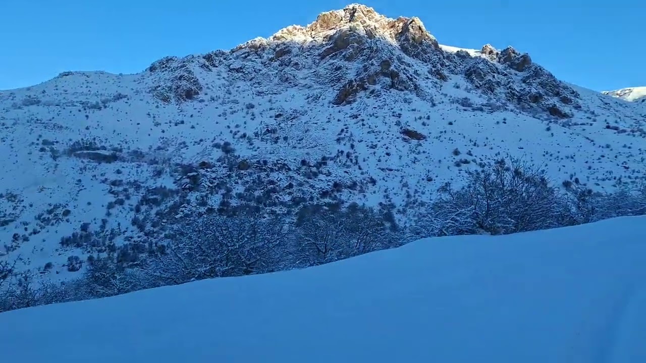  Bu Adrenalinə ürək dayanmaz