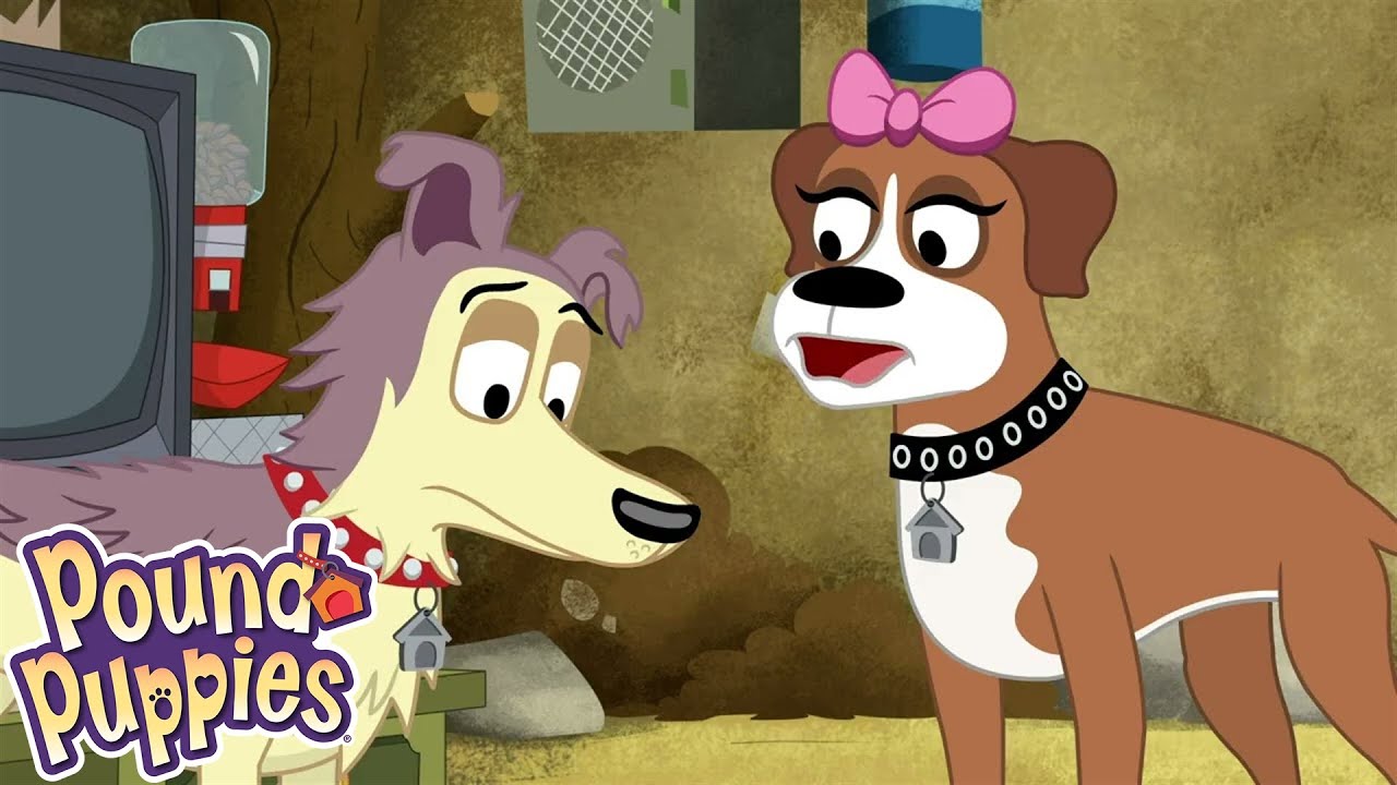 Pound Puppies | I Never Barked For My Father | COMPILATION | Season 1 | Pet Cartoon