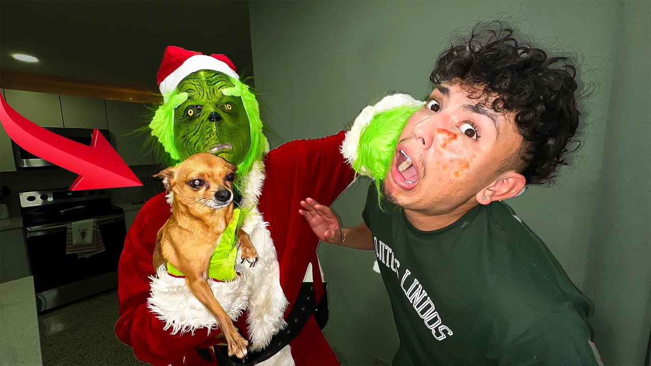 THE GRINCH STOLE MY PUPPY!!