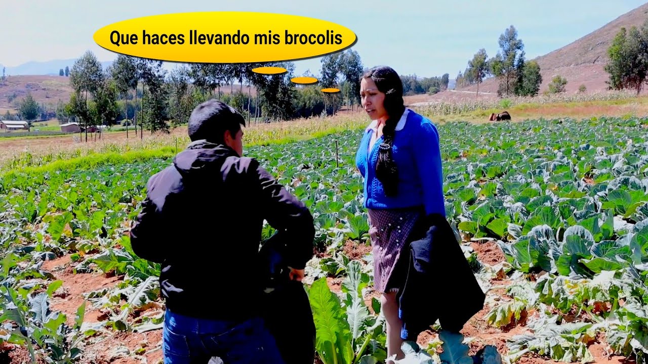Pide antes de cojer lo ajeno - Dueño de mi Destino
