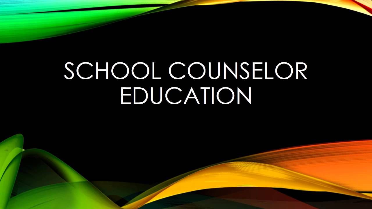Comprehensive School Counseling Programs