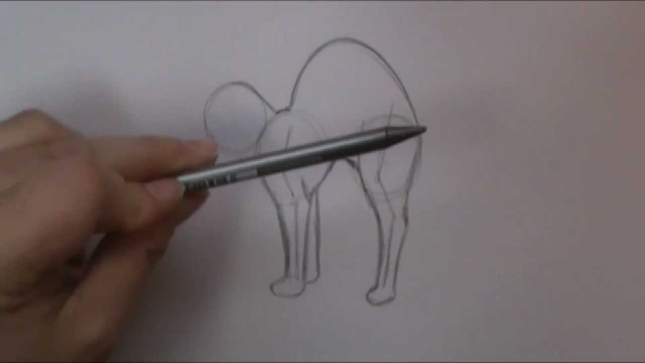 How to draw a cat stretching