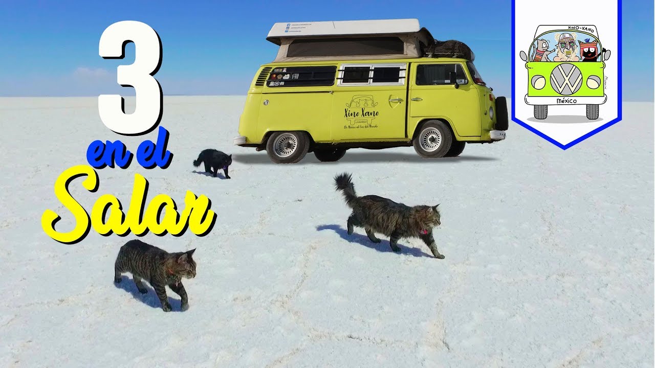 3 gatos mexicanos en el mayor Salar de Mundo | Bolivia | Episodio #81