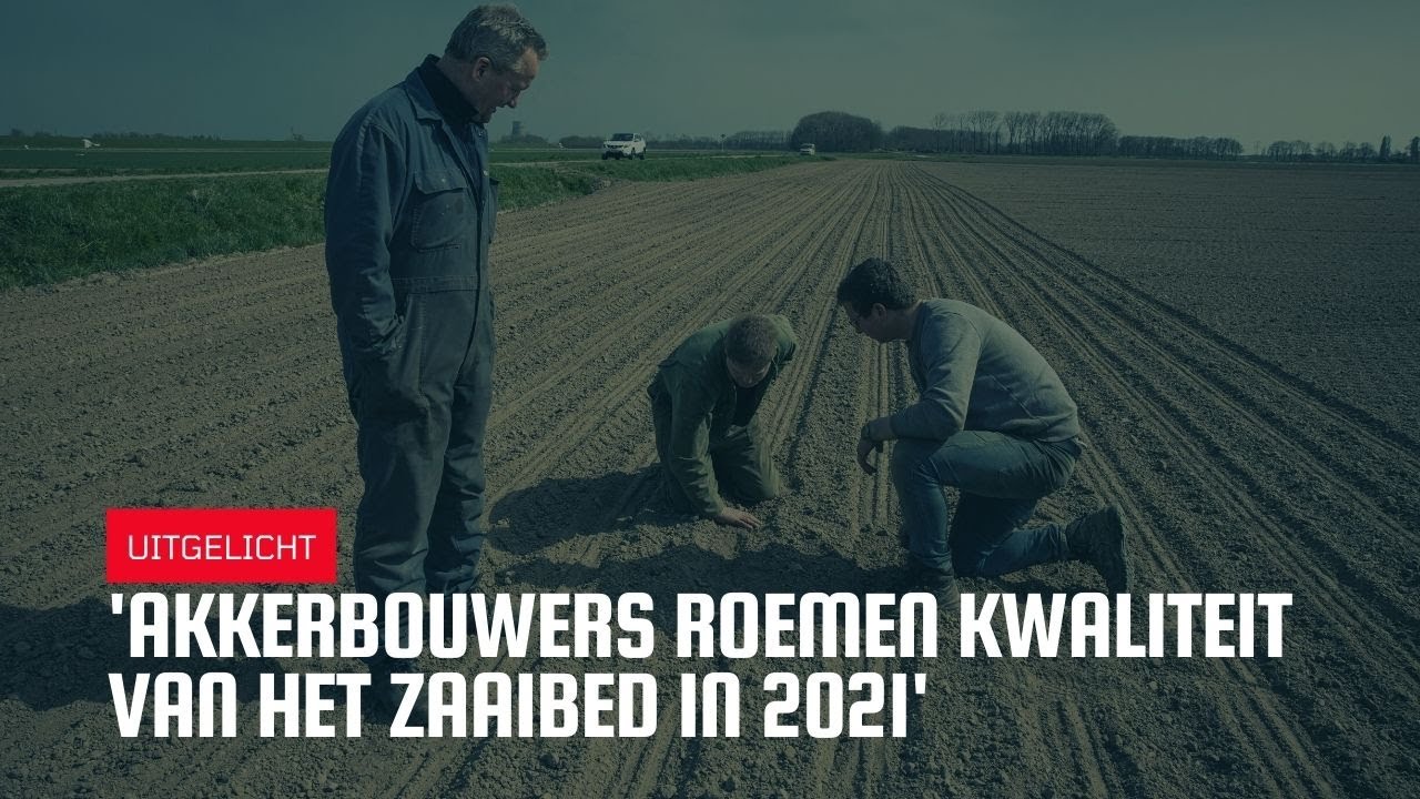 Uitgelicht | 'Akkerbouwers roemen kwaliteit zaaibed'