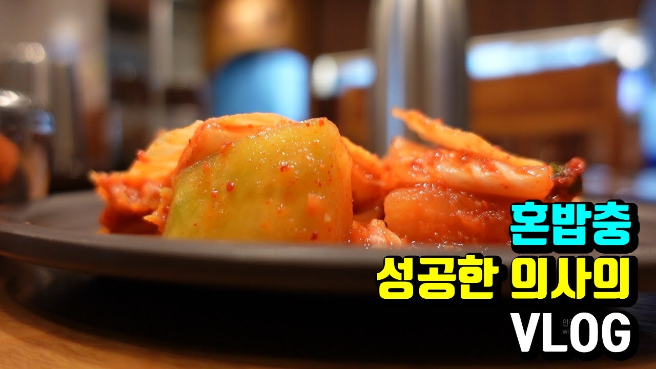[VLOG] 혼밥이 익숙한 의사 VLOG (feat. 의대썰, 춘식이, 심장내과, 설렁탕)