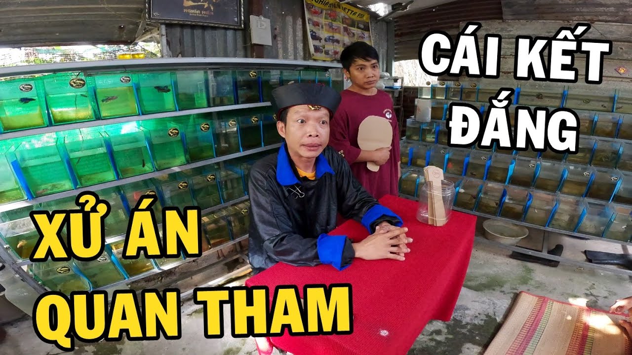 Anh Nhí Betta trở thành Quan Tham Xử Án bất công và cái kết quá đáng đời