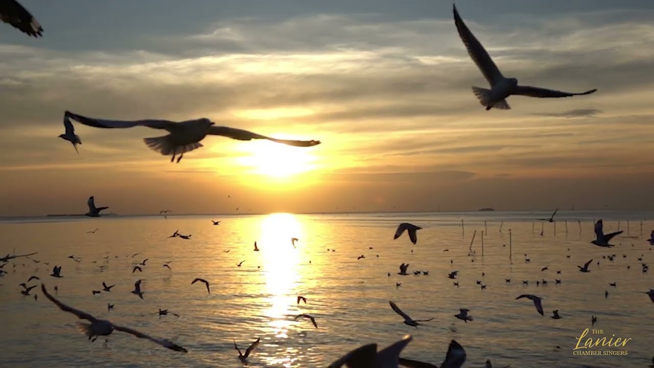 Creation (Dan Forrest) Wings - LCS, March 2, 2025