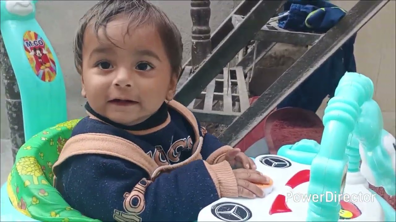 Parrot sparrow 🐦🦜🐈