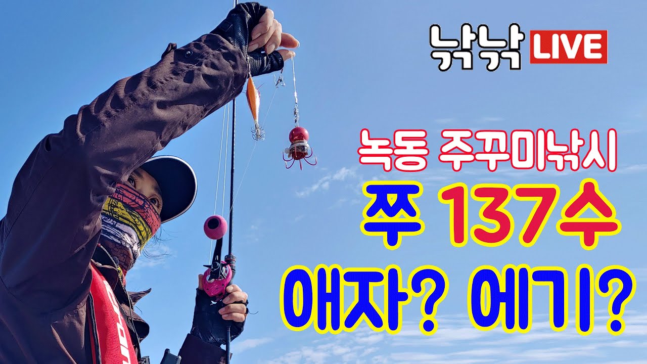 주꾸미낚시 녹동에 주꾸미가 한가득? 137수 느나느나?애자를 줄까 에기를 줄까?녹동보스호 갑오징어낚시방법 주꾸미낚시