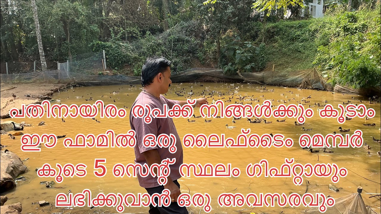 #NP1177#പതിനായിരം രൂപക്ക് നിങ്ങൾക്കും കൂടാം ഈ ഫാമിലൊരു ഷെയർ#NISHADPALAKKAD#AGRICULTRALPROJECTLLP#