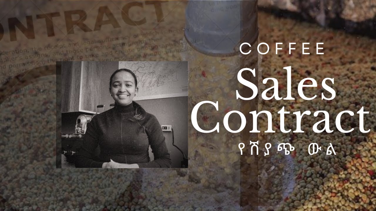 Coffee Export Process: Sales Contract Explained