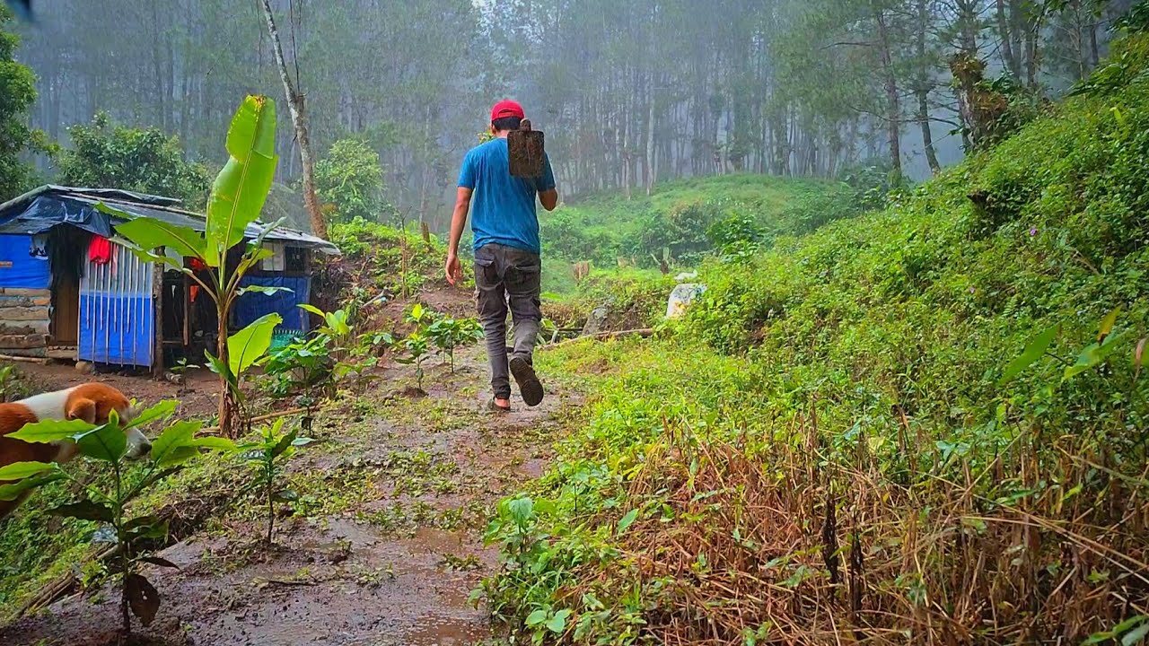 Kegiatan Selama Di Pondok Hutan - Hujan Deras Setiap Hari - Hidup Sederhana Dan Makan Seadanya