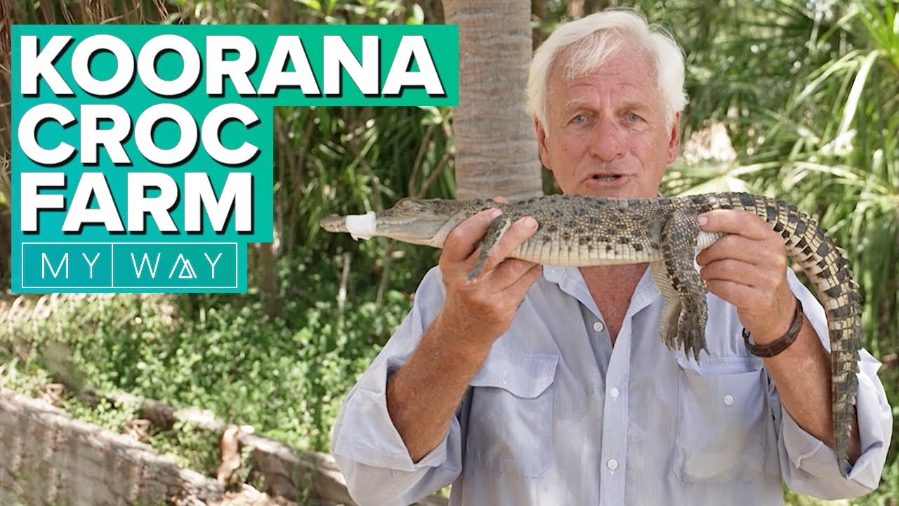 Koorana Croc Farm | My Way