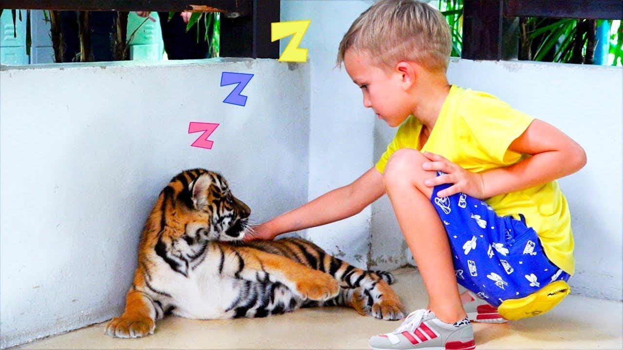 Vlad v&agrave; Mama tại trang trại hổ ngủ