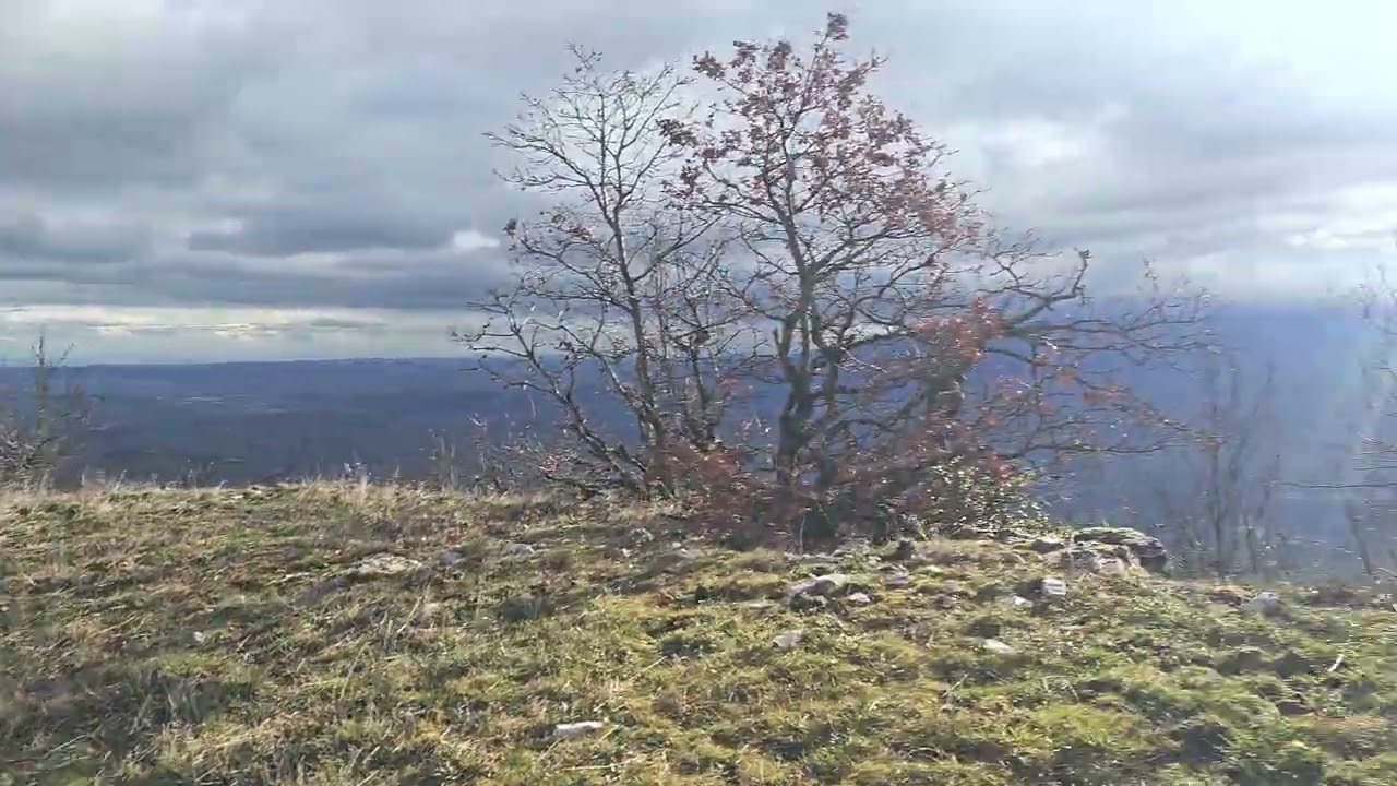 Monte Alto