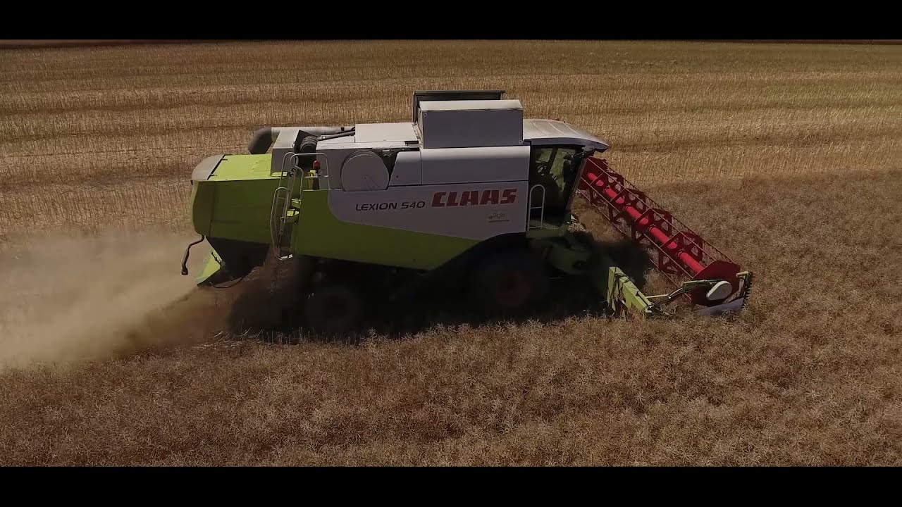 Lumiposa® - neue Saatgutbeize für den Raps