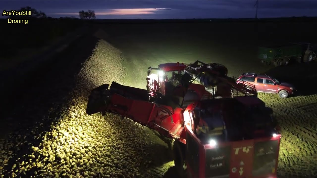 🚜Monster Sugar Beet Harvester Dusk to Twilight | Holmer Terra Dos T4-30 | Ep 2/6