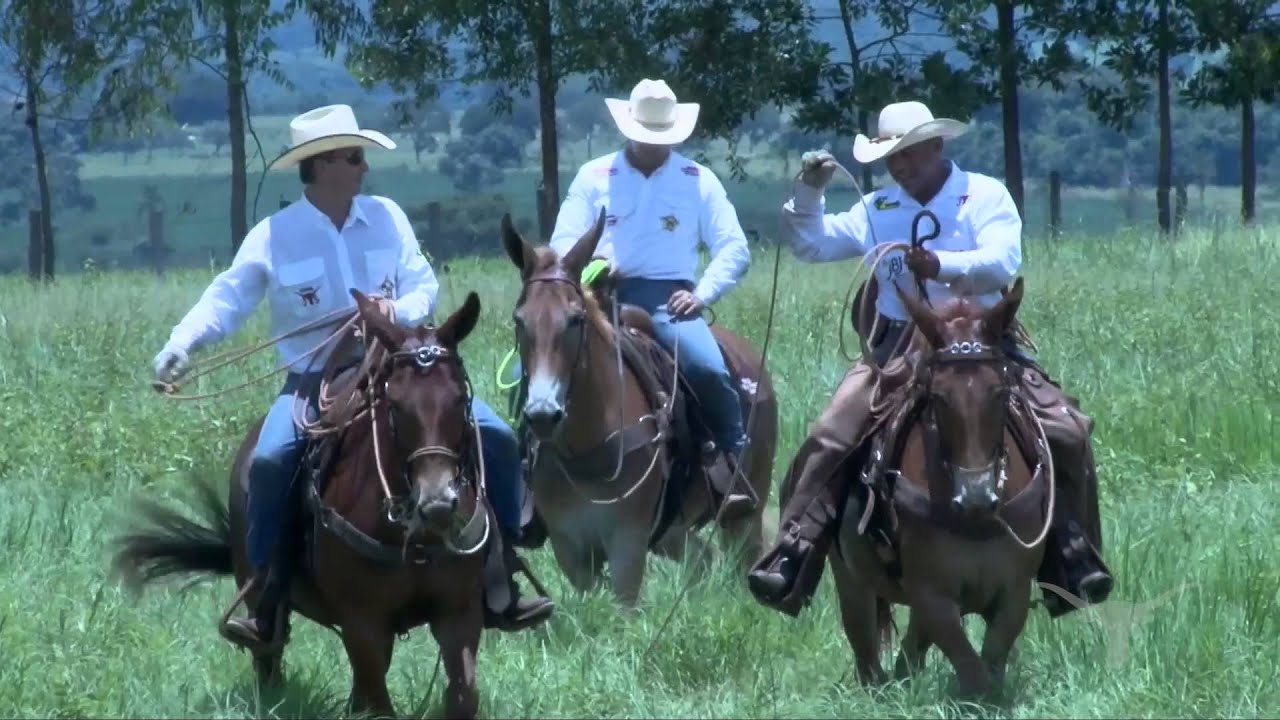 RANCHO JS /// BRINCO NO BOI /// LAÇO EM MULA /// Santa Elvira /// Apuí Produtora