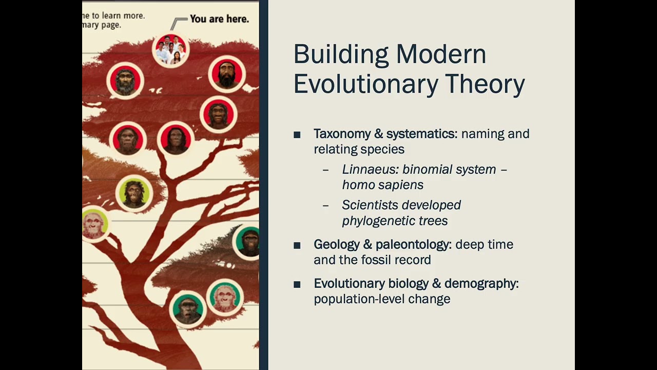 Module 2 Evolution and Molecular Genetics