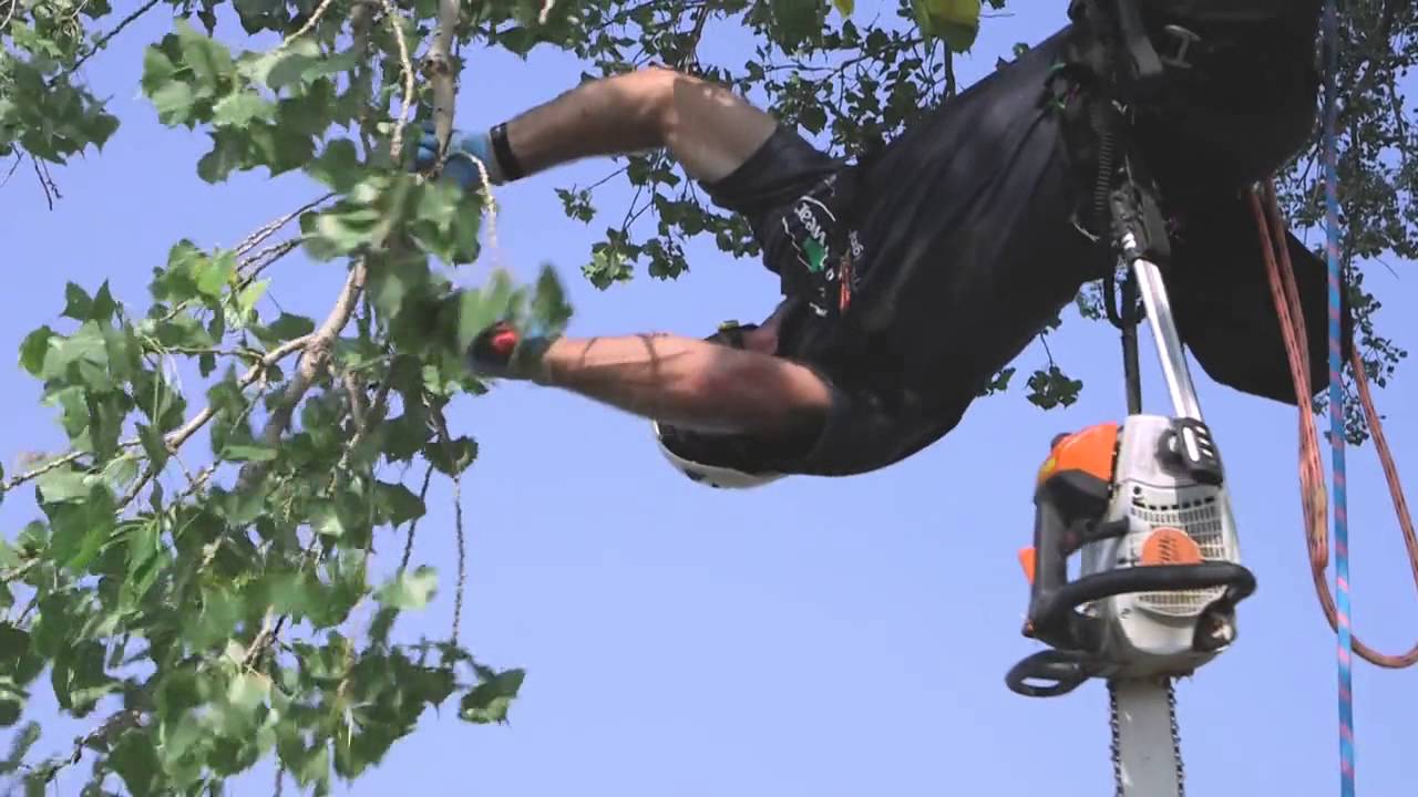 Luke Glines Arborist HD