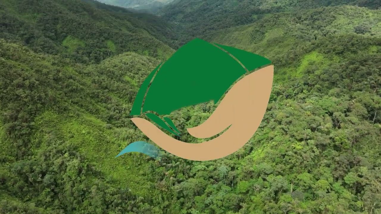 @josegarbozamand Área de Conservación Privada PARAJE CAPIRO un tesosro escondido en Llaylla Satipo