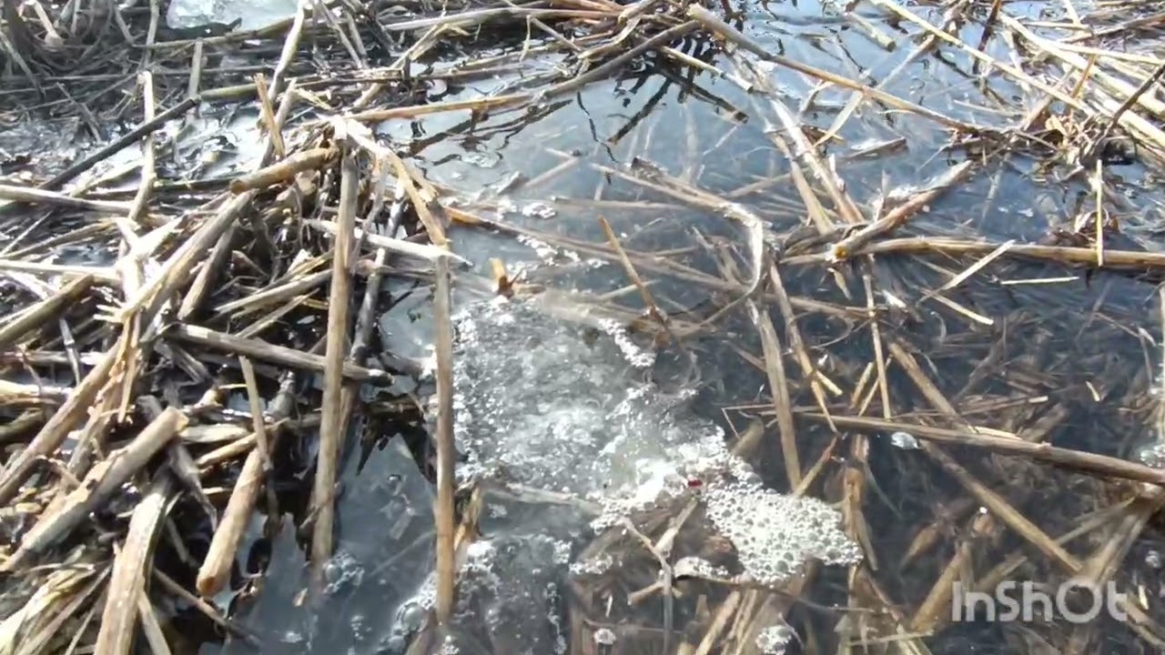 Останній день зими.NoTill.