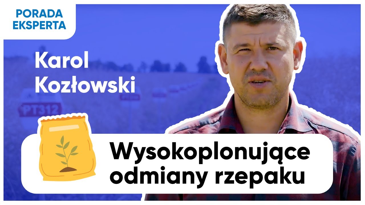 Poznajcie wysoko plonujące odmiany marki Pioneer! PT302, PT303, PT314