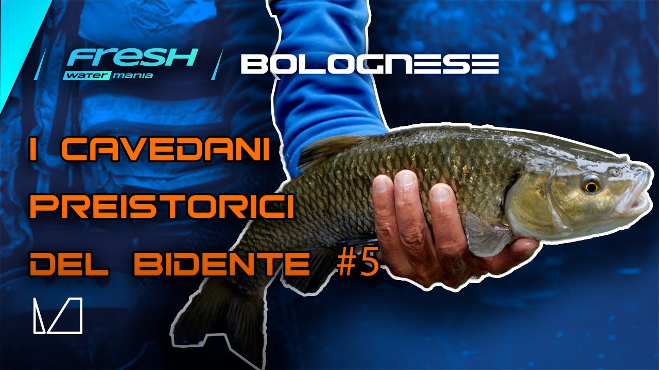 FRESH WATER MANIA - PUNTATA 5 - BOLOGNESE - I CAVEDANI  PREISTORICI  DEL BIDENTE